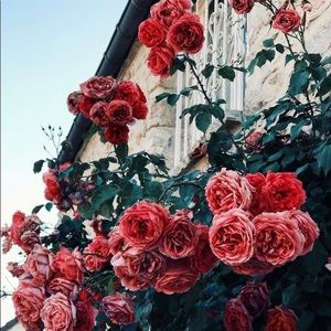 Meet your Posher, Jada